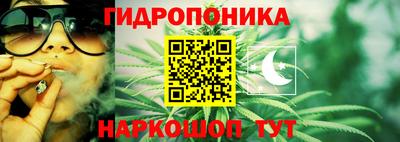 мяу мяу мука Пушкино