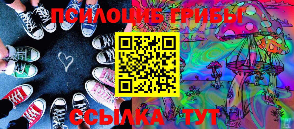 Псилоцибиновые грибы Psilocybe Семилуки